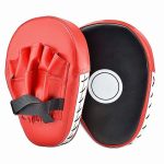 Focus Mitts